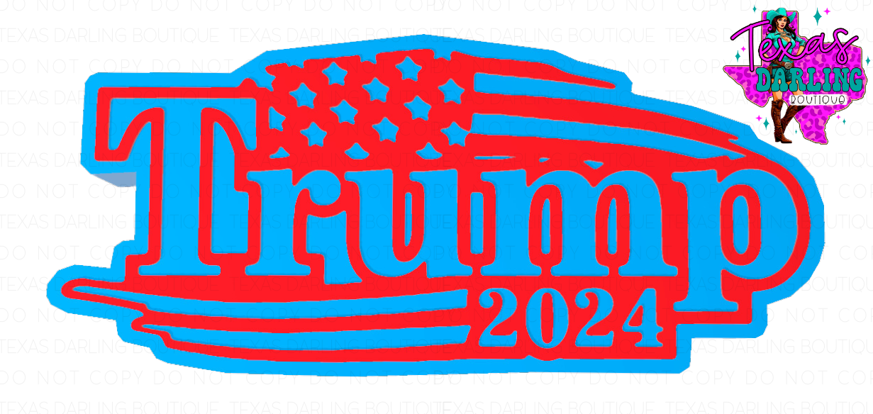 President T 2024 Flag