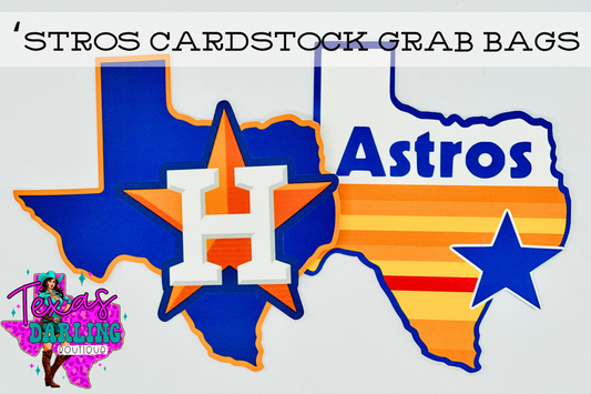 Texas Teams Cardstock Grab Bags (Large)