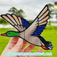 Mallard Duck