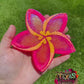 Plumeria