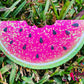 Watermelon Slice
