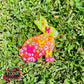 Leopard Bunny