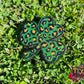 Leopard Shamrock