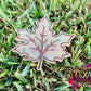 Autumn Leaf