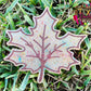 Autumn Leaf